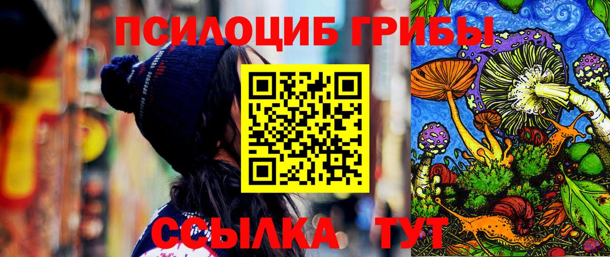 Галлюциногенные грибы Psilocybine cubensis Выборг